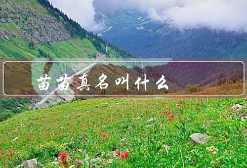 苗苗真名叫什么，苗苗原名黄禾（郑恺妻子本名为苗苗）