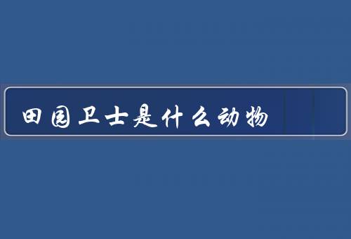 田园卫士是什么动物