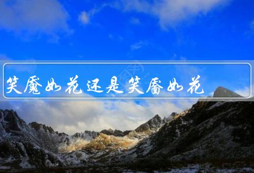 笑魇如花还是笑靥如花