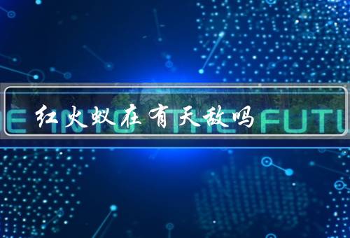 红火蚁在有天敌吗