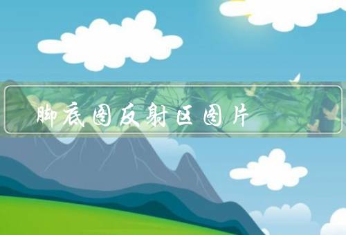 脚底图反射区图片