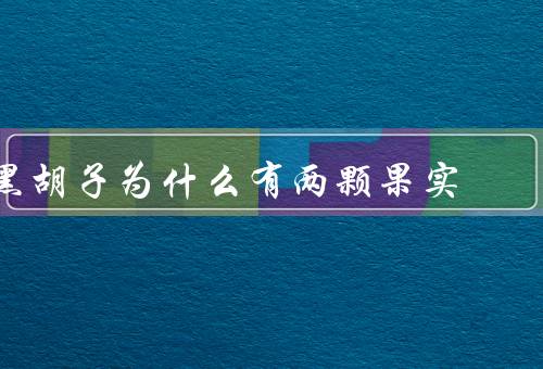 黑胡子为什么有两颗果实