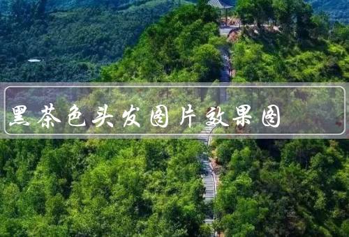 黑茶色头发图片效果图