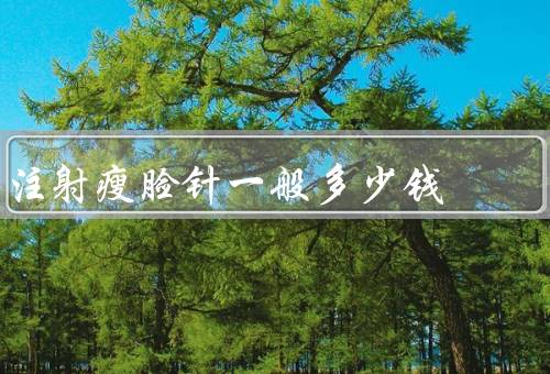 注射瘦脸针一般多少钱