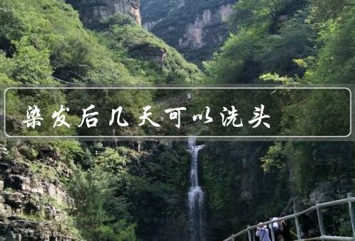 染发后几天可以洗头