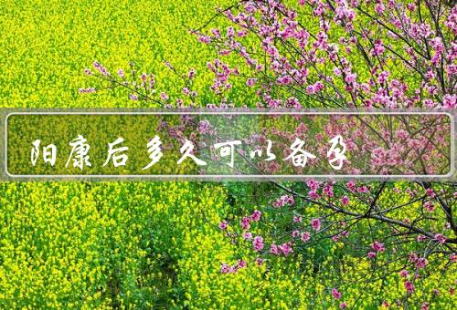 阳康后多久可以备孕