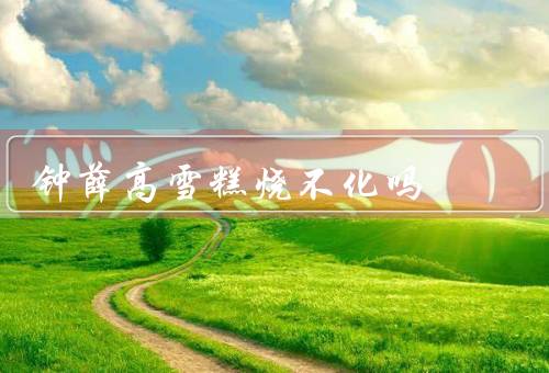 钟薛高雪糕烧不化吗