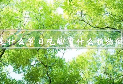青团是什么节日吃的用什么植物做