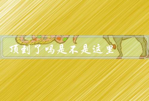 顶到了吗是不是这里