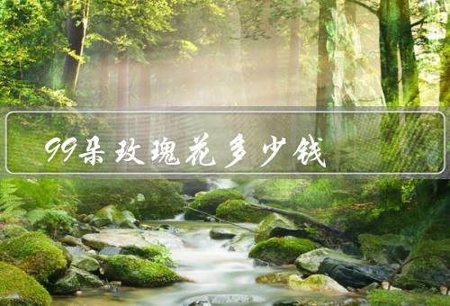 99朵玫瑰花多少钱