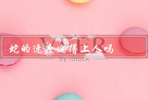 蛇的速度追得上人吗