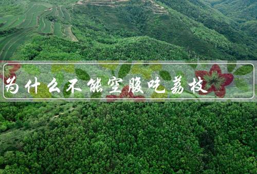 为什么不能空腹吃荔枝