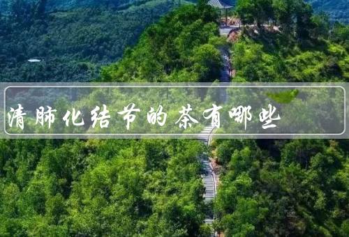 清肺化结节的茶有哪些