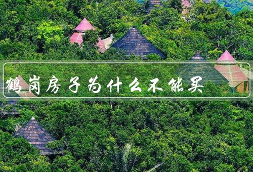 鹤岗房子为什么不能买