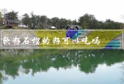 软籽石榴的籽可以吃吗