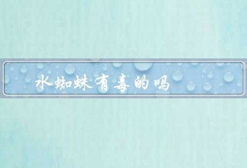 水蜘蛛有毒的吗