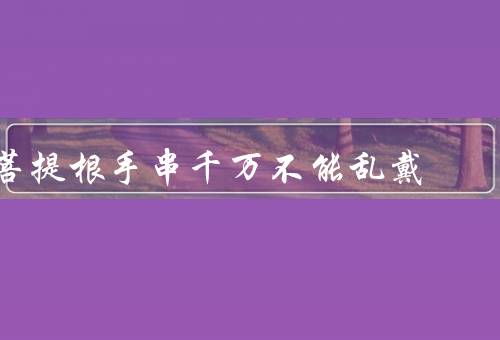 菩提根手串千万不能乱戴
