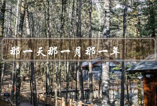 那一天那一月那一年