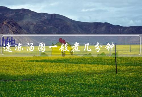 速冻汤圆一般煮几分钟