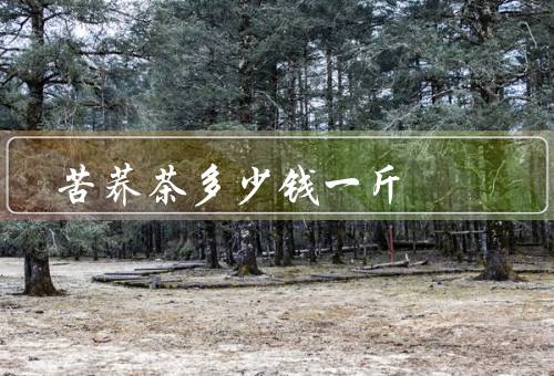 苦荞茶多少钱一斤