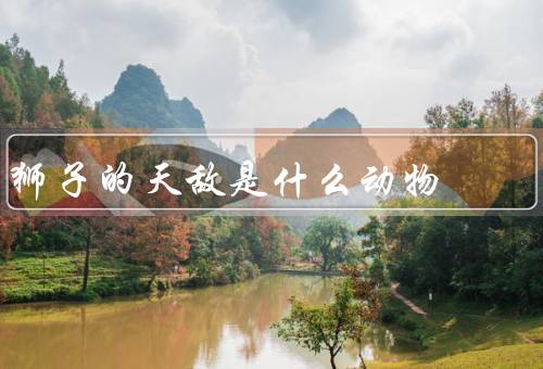 狮子的天敌是什么动物