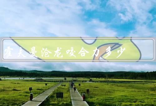 霍夫曼沧龙咬合力多少