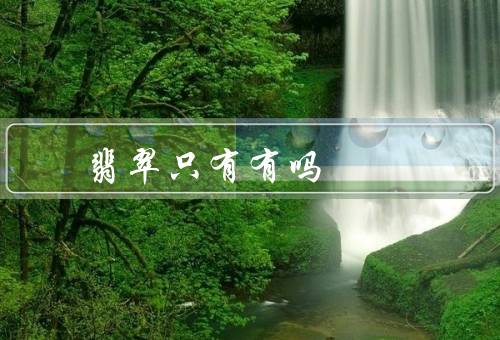 翡翠只有有吗