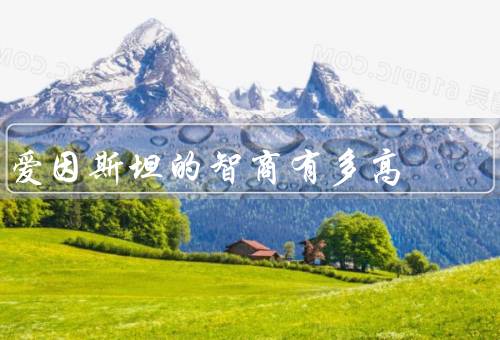 爱因斯坦的智商有多高