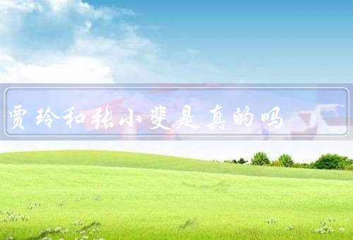 贾玲和张小斐是真的吗