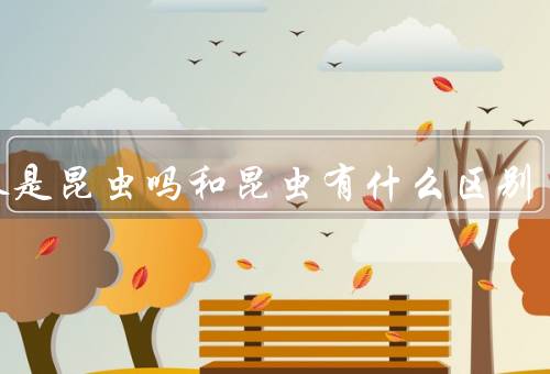 蜘蛛是昆虫吗和昆虫有什么区别