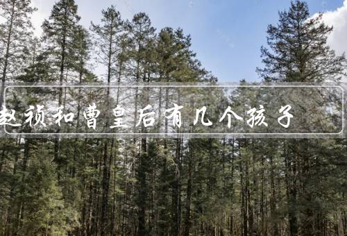 赵祯和曹皇后有几个孩子