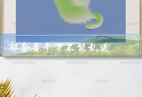 郁金香千万不能乱送
