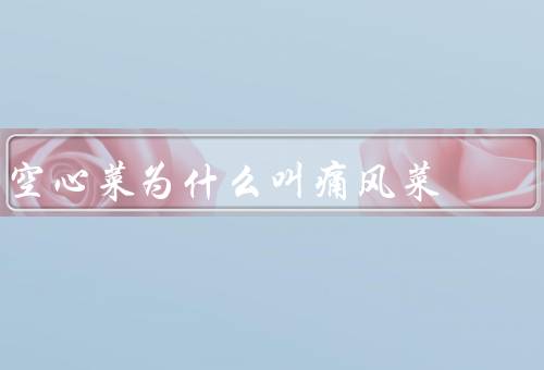 空心菜为什么叫痛风菜