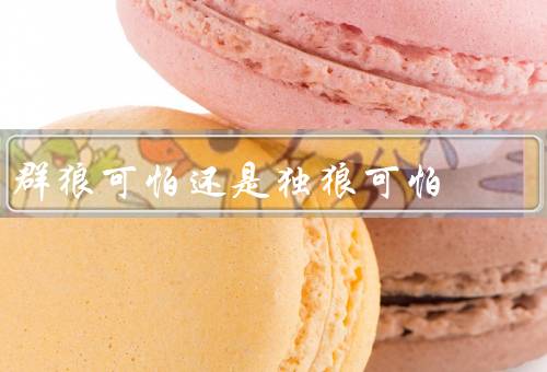 群狼可怕还是独狼可怕