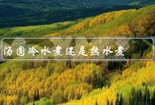 汤圆冷水煮还是热水煮
