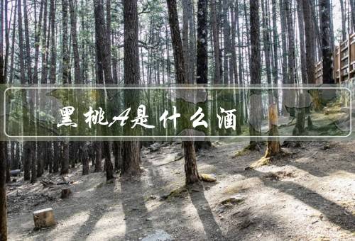 黑桃A是什么酒