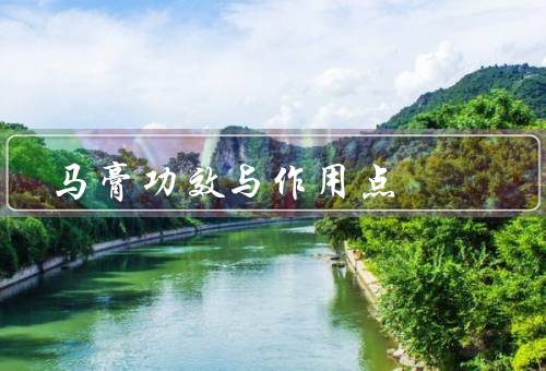 马膏功效与作用点
