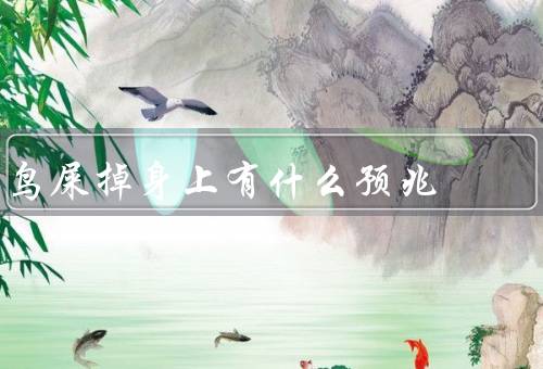 鸟屎掉身上有什么预兆