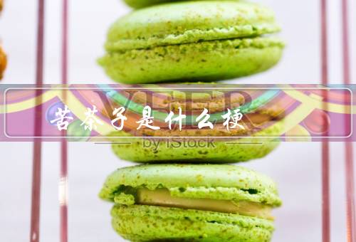 苦茶子是什么梗