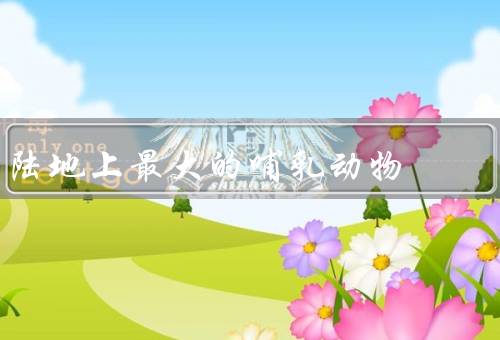 陆地上最大的哺乳动物