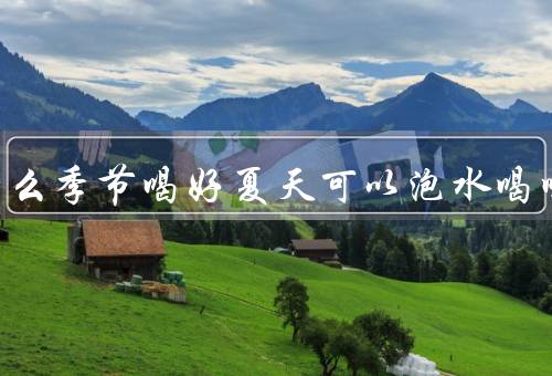 陈皮什么季节喝好夏天可以泡水喝吗