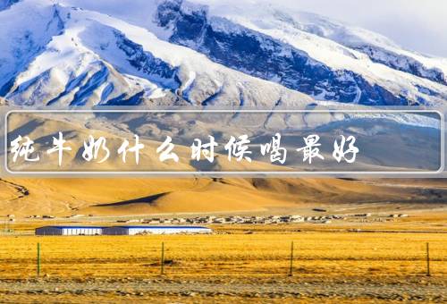 纯牛奶什么时候喝最好