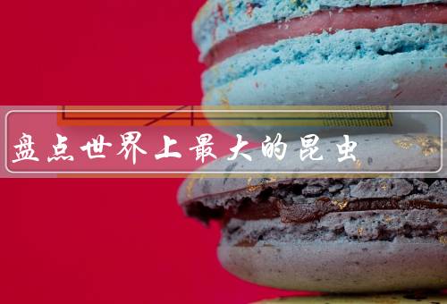 盘点世界上最大的昆虫
