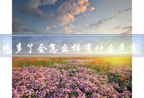 荔枝吃多了会怎么样有什么危害