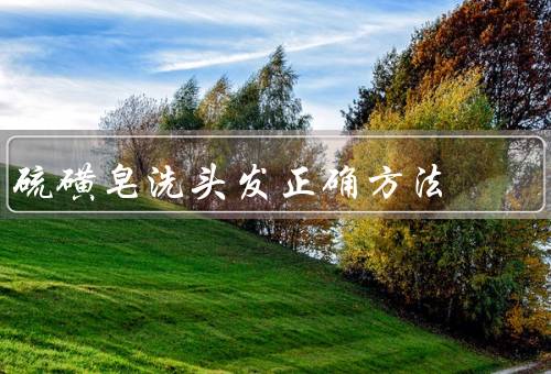 硫磺皂洗头发正确方法