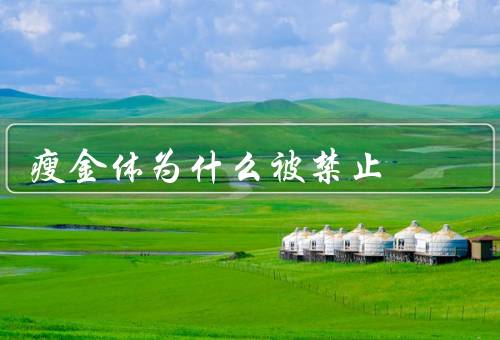 瘦金体为什么被禁止