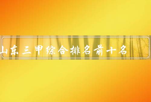 山东三甲综合排名前十名