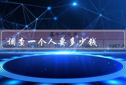 调查一个人要多少钱