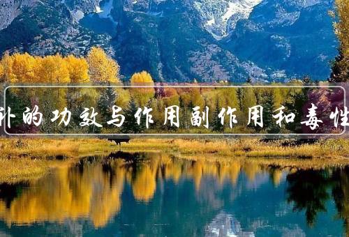 骨碎补的功效与作用副作用和毒性