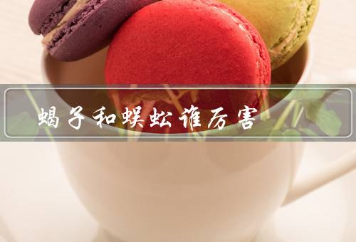 蝎子和蜈蚣谁厉害